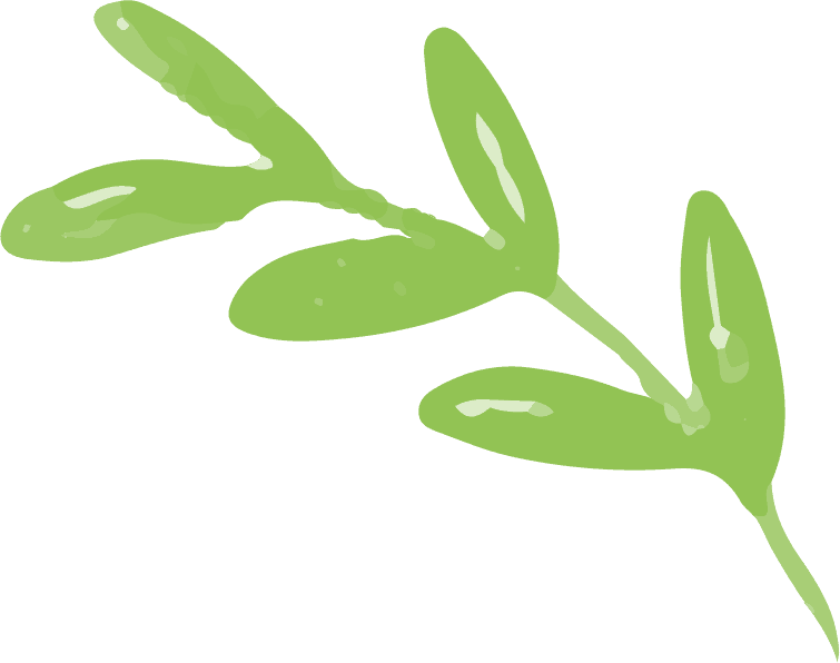Leaves Free Img